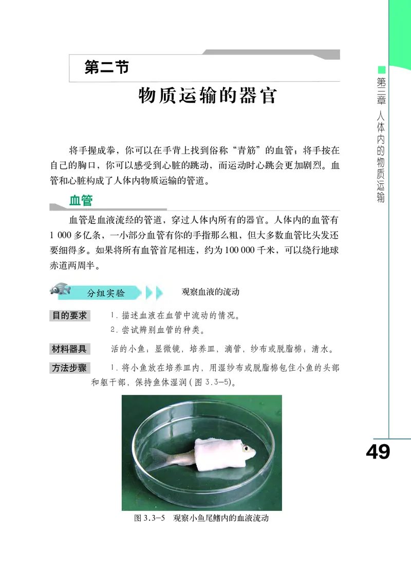 济南版7年级生物下册高清教材_4-教培资料-26年最新资料-同步更新_初中高中教资_03科三专项（进去保存报考的学科即可）_02科三专项（笔记真题思维导图教学设计版本二）