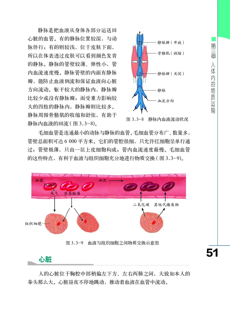 济南版7年级生物下册高清教材_4-教培资料-26年最新资料-同步更新_初中高中教资_03科三专项（进去保存报考的学科即可）_02科三专项（笔记真题思维导图教学设计版本二）