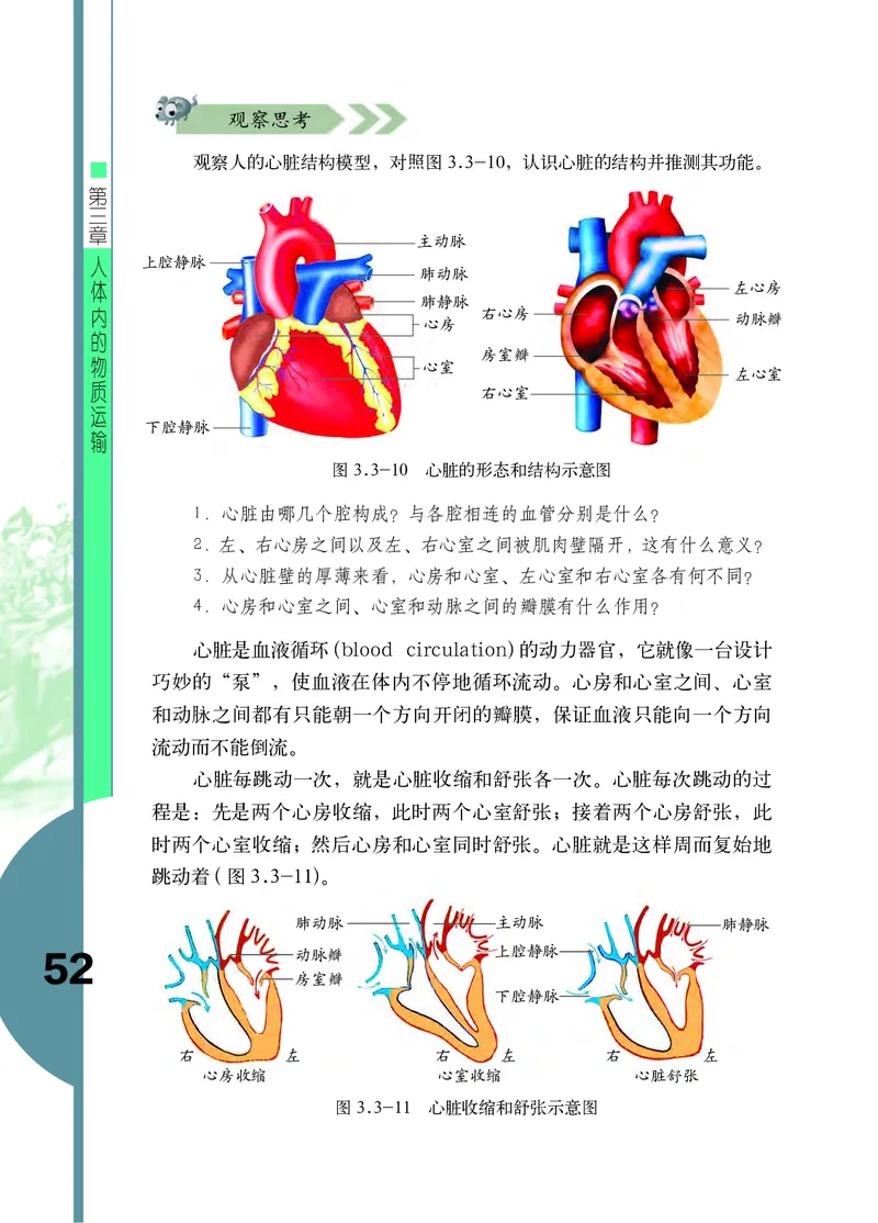 济南版7年级生物下册高清教材_4-教培资料-26年最新资料-同步更新_初中高中教资_03科三专项（进去保存报考的学科即可）_02科三专项（笔记真题思维导图教学设计版本二）