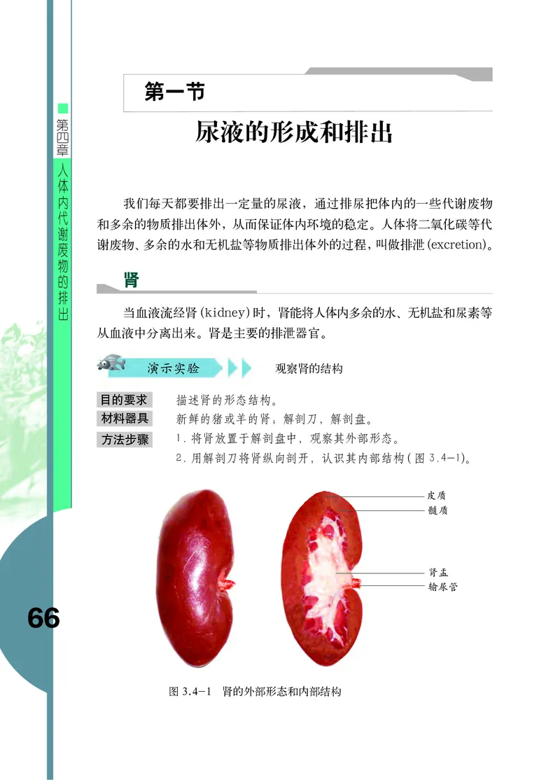 济南版7年级生物下册高清教材_4-教培资料-26年最新资料-同步更新_初中高中教资_03科三专项（进去保存报考的学科即可）_02科三专项（笔记真题思维导图教学设计版本二）