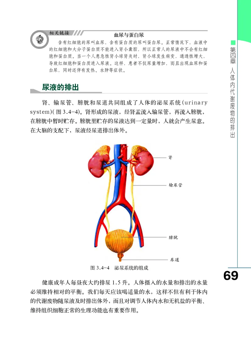 济南版7年级生物下册高清教材_4-教培资料-26年最新资料-同步更新_初中高中教资_03科三专项（进去保存报考的学科即可）_02科三专项（笔记真题思维导图教学设计版本二）