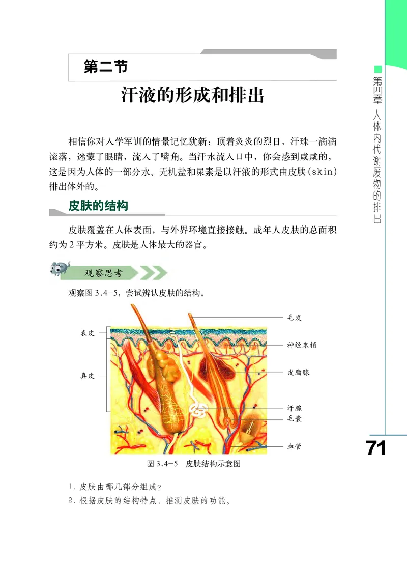 济南版7年级生物下册高清教材_4-教培资料-26年最新资料-同步更新_初中高中教资_03科三专项（进去保存报考的学科即可）_02科三专项（笔记真题思维导图教学设计版本二）