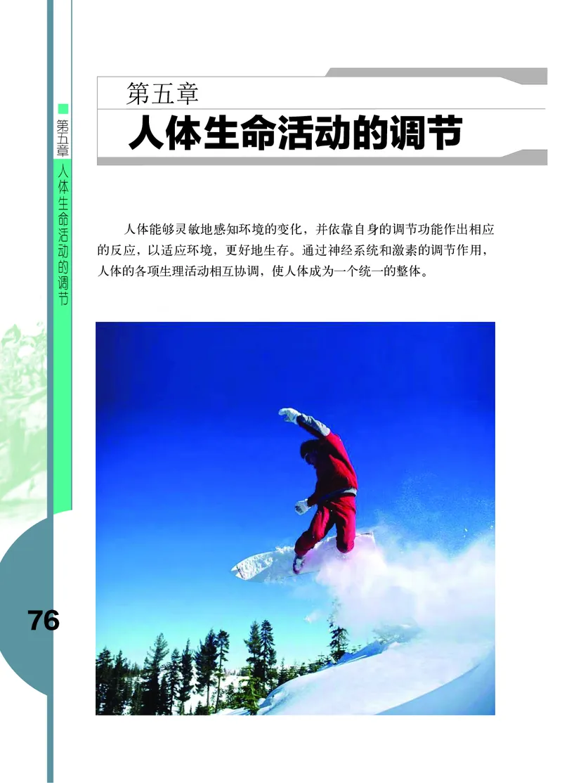 济南版7年级生物下册高清教材_4-教培资料-26年最新资料-同步更新_初中高中教资_03科三专项（进去保存报考的学科即可）_02科三专项（笔记真题思维导图教学设计版本二）