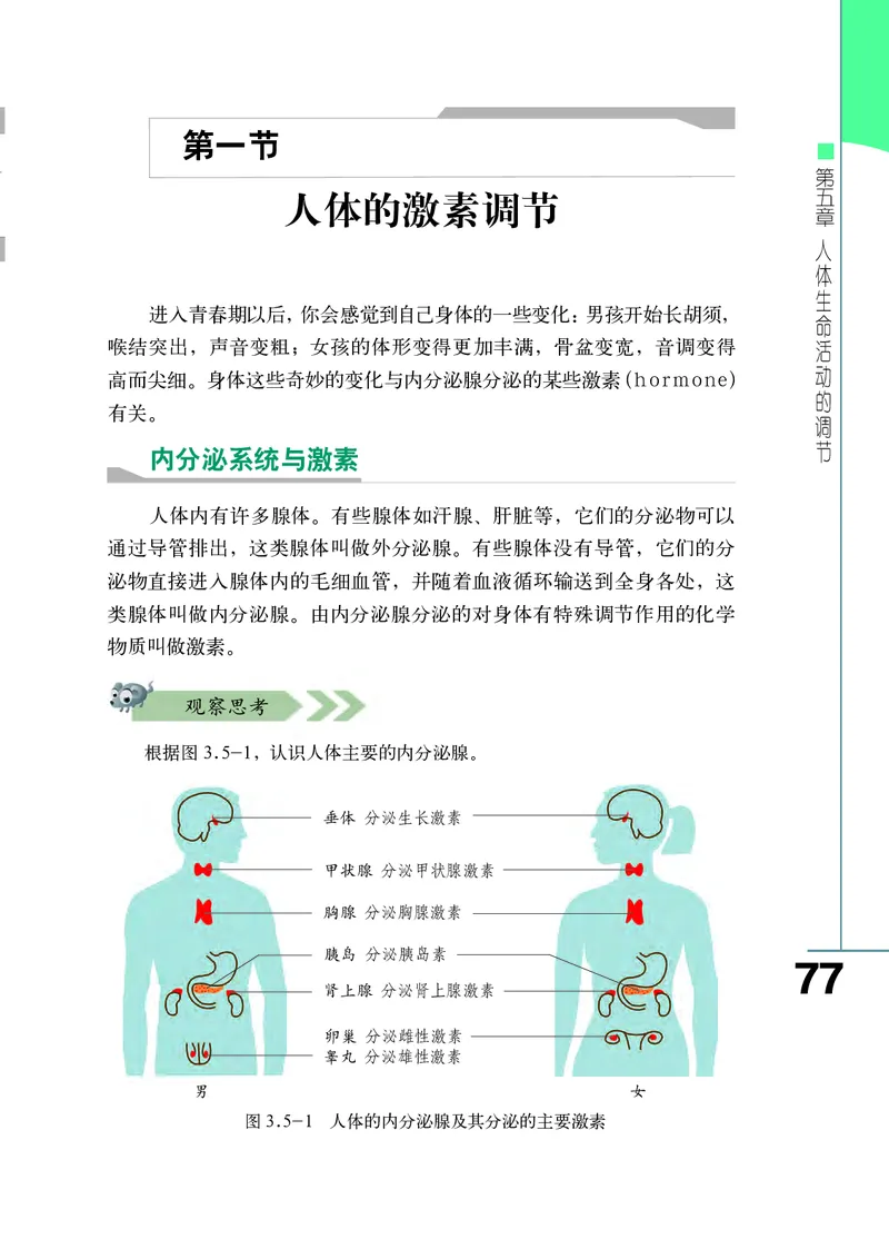 济南版7年级生物下册高清教材_4-教培资料-26年最新资料-同步更新_初中高中教资_03科三专项（进去保存报考的学科即可）_02科三专项（笔记真题思维导图教学设计版本二）