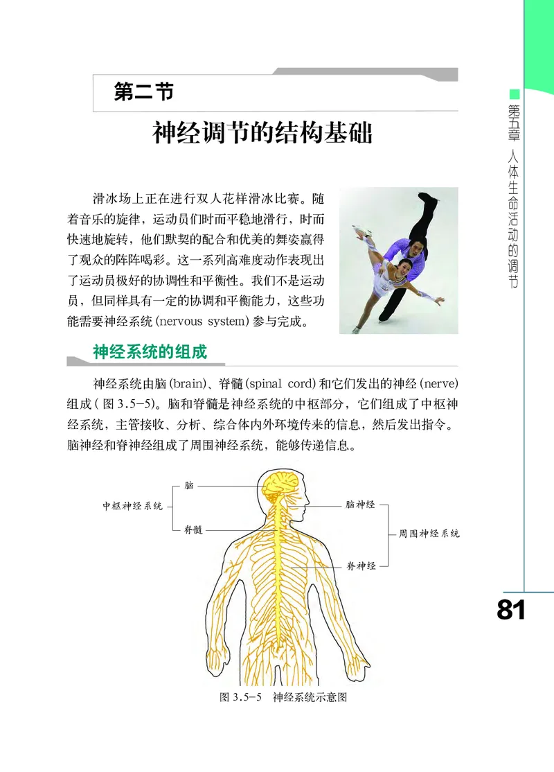 济南版7年级生物下册高清教材_4-教培资料-26年最新资料-同步更新_初中高中教资_03科三专项（进去保存报考的学科即可）_02科三专项（笔记真题思维导图教学设计版本二）