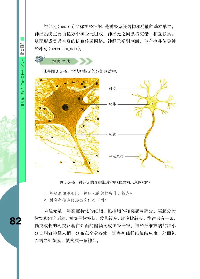 济南版7年级生物下册高清教材_4-教培资料-26年最新资料-同步更新_初中高中教资_03科三专项（进去保存报考的学科即可）_02科三专项（笔记真题思维导图教学设计版本二）