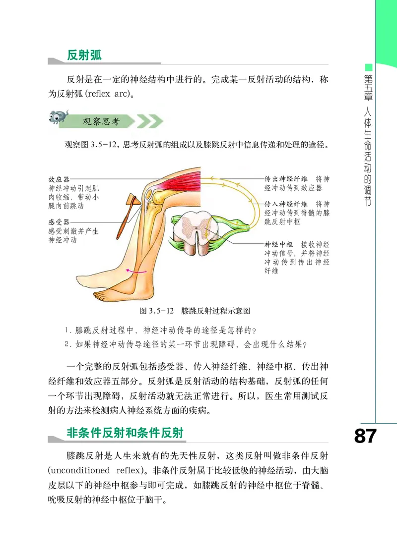 济南版7年级生物下册高清教材_4-教培资料-26年最新资料-同步更新_初中高中教资_03科三专项（进去保存报考的学科即可）_02科三专项（笔记真题思维导图教学设计版本二）