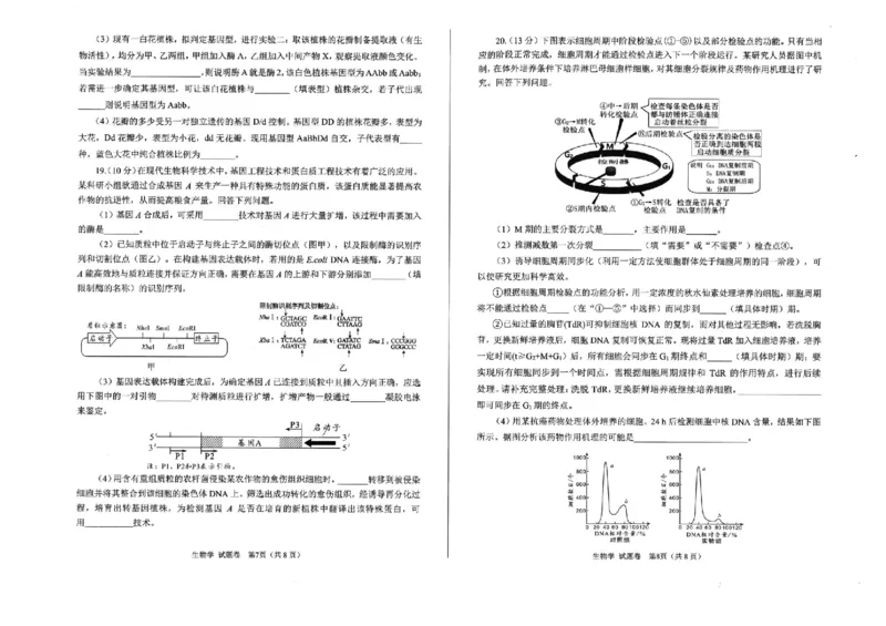 绵阳市高中2022级第一次诊断性考试生物（含答案）_251104四川省绵阳市高中2022级第一次诊断性考试（全科）