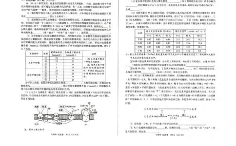 绵阳市高中2022级第一次诊断性考试生物（含答案）_251104四川省绵阳市高中2022级第一次诊断性考试（全科）