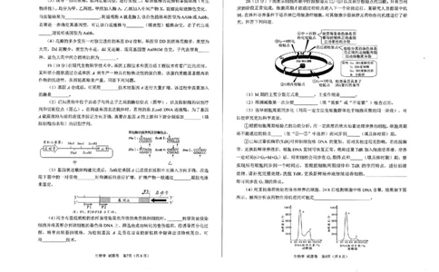 绵阳市高中2022级第一次诊断性考试生物（含答案）_251104四川省绵阳市高中2022级第一次诊断性考试（全科）