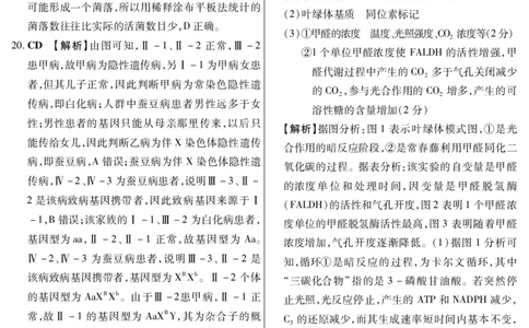 新时代高中教育联合体2025年11月高三学年期中联考巩固卷（二）生物答案_251112黑龙江省新时代高中教育联合体2025年11月高三学年期中联考巩固卷（二）（全科）