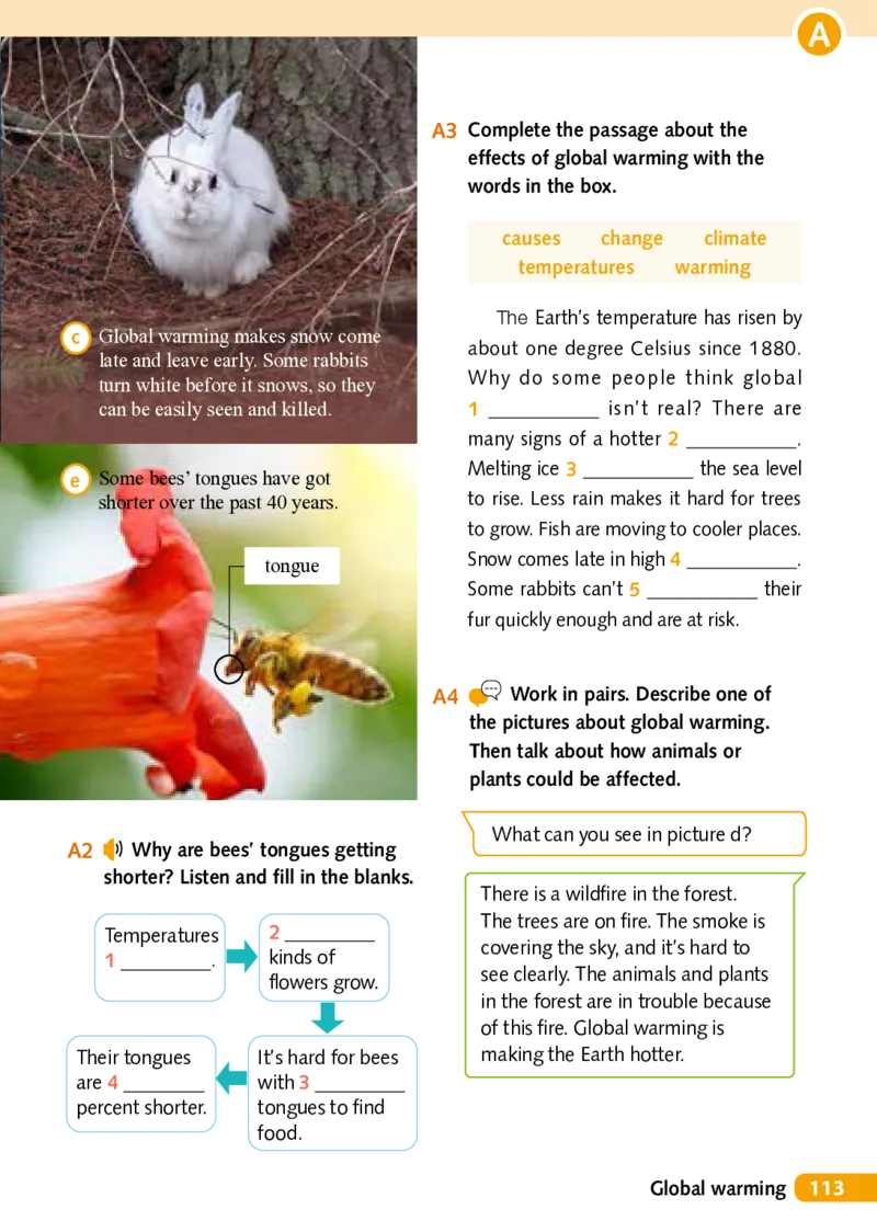 沪外教7年级英语上册高清教材_4-教培资料-26年最新资料-同步更新_初中高中教资_03科三专项（进去保存报考的学科即可）_02科三专项（笔记真题思维导图教学设计版本二）