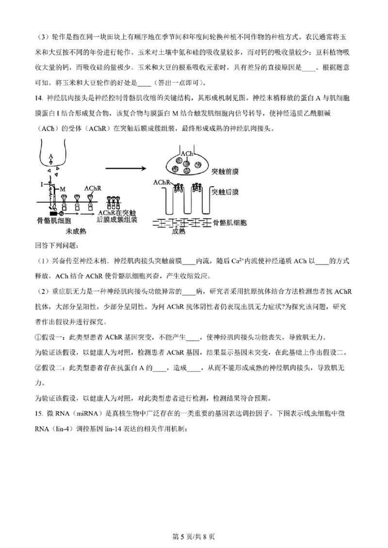 2024年天津市八所重点学校高三毕业班联-生物原卷版(1)_2024年1月_021月合集_2024届天津市八所重点学校高三毕业班联