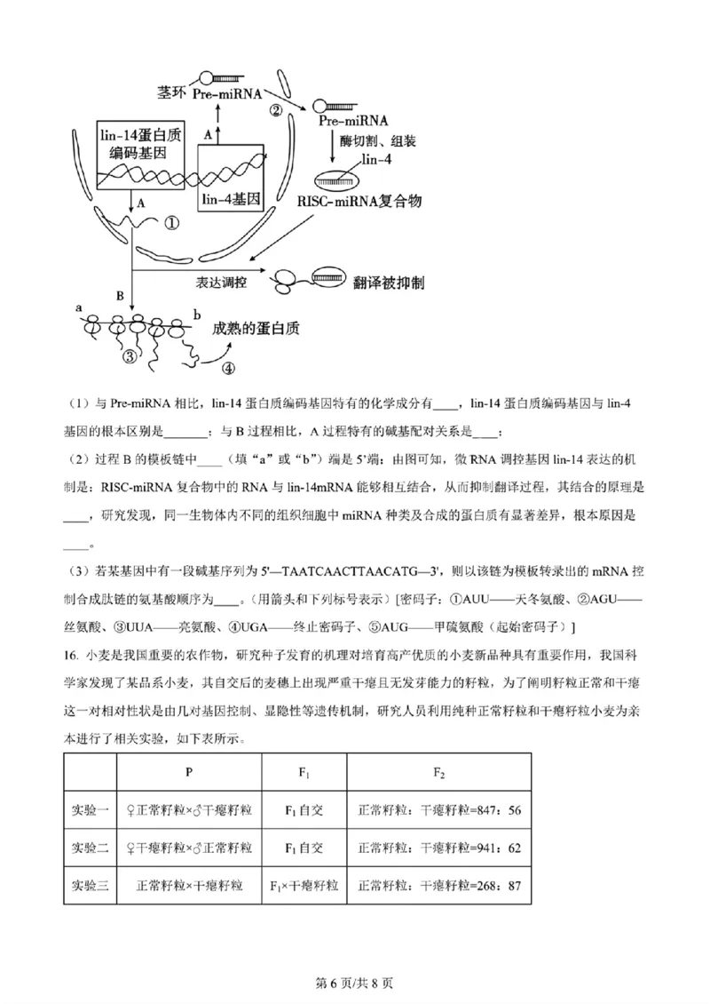 2024年天津市八所重点学校高三毕业班联-生物原卷版(1)_2024年1月_021月合集_2024届天津市八所重点学校高三毕业班联