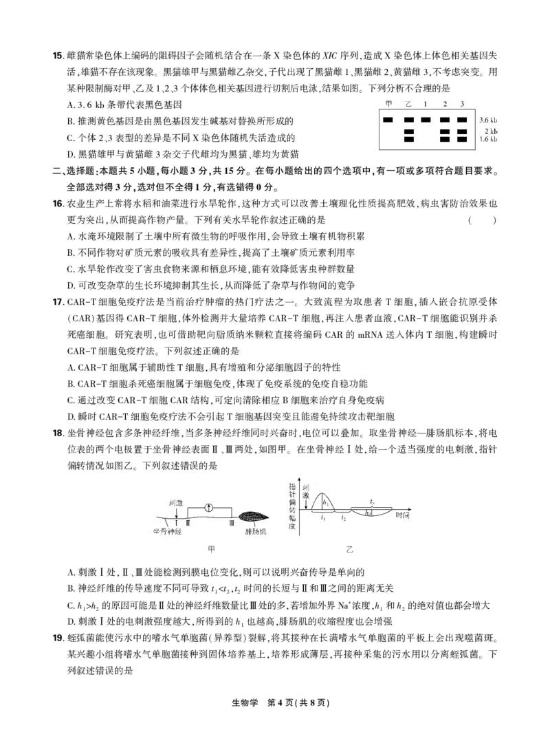 正文2025年理想树东北三省精准教学联盟高三强化卷5月生物学_2025年6月_250601理想树&middot;东北三省精准教学2025年5月高三联考-强化卷（全科）