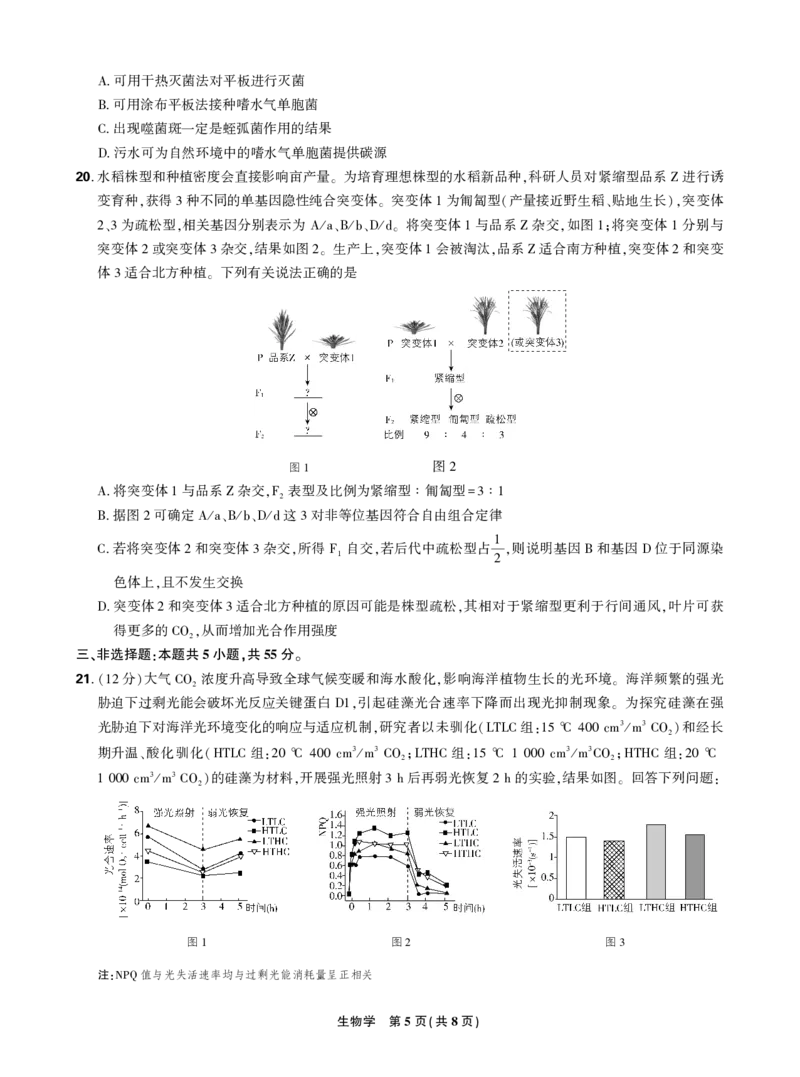 正文2025年理想树东北三省精准教学联盟高三强化卷5月生物学_2025年6月_250601理想树&middot;东北三省精准教学2025年5月高三联考-强化卷（全科）