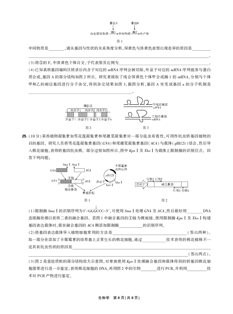 正文2025年理想树东北三省精准教学联盟高三强化卷5月生物学_2025年6月_250601理想树&middot;东北三省精准教学2025年5月高三联考-强化卷（全科）