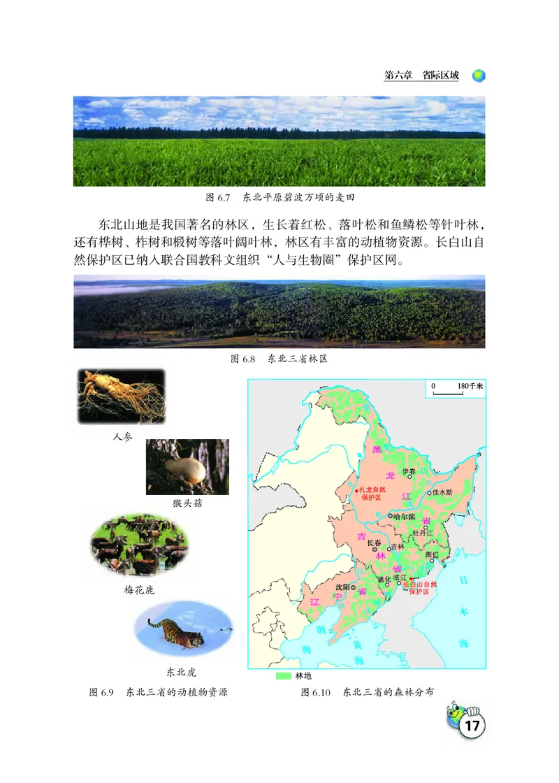 晋教版8年级地理下册高清教材_4-教培资料-26年最新资料-同步更新_初中高中教资_03科三专项（进去保存报考的学科即可）_02科三专项（笔记真题思维导图教学设计版本二）