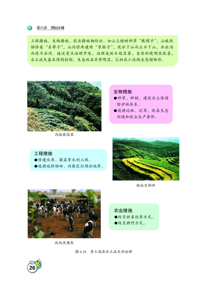 晋教版8年级地理下册高清教材_4-教培资料-26年最新资料-同步更新_初中高中教资_03科三专项（进去保存报考的学科即可）_02科三专项（笔记真题思维导图教学设计版本二）