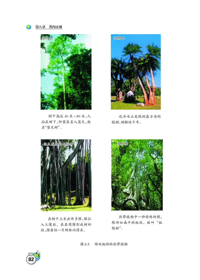 晋教版8年级地理下册高清教材_4-教培资料-26年最新资料-同步更新_初中高中教资_03科三专项（进去保存报考的学科即可）_02科三专项（笔记真题思维导图教学设计版本二）