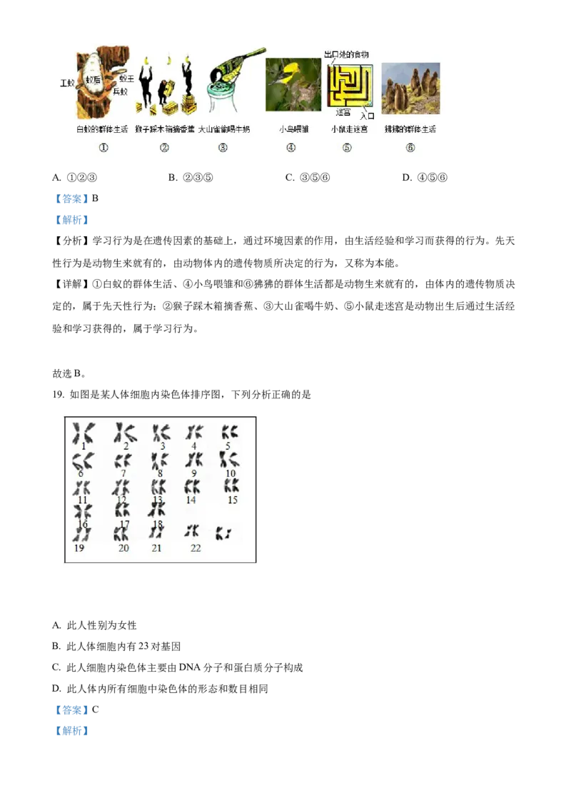 精品解析：2022年内蒙古赤峰市中考生物真题（解析版）_中考真题_8.生物中考真题2015-2024年_2022年全国中考生物114份14