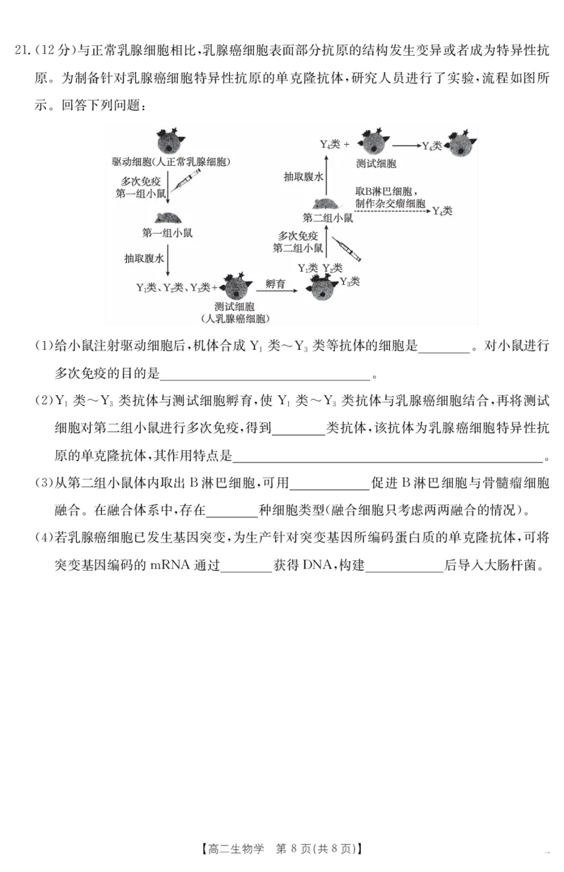 广东省云浮市2024-2025学年高二下学期高中教学质量检测生物学_2025年7月_250725金太阳&middot;广东省云浮市2024-2025学年高二下学期高中教学质量检测（金太阳25-542B）（全科）