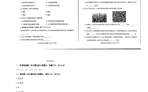 甘肃省白银市2018年中考生物真题试题（扫描版，含答案）_中考真题_8.生物中考真题2015-2024年_2018年全国中考生物141份