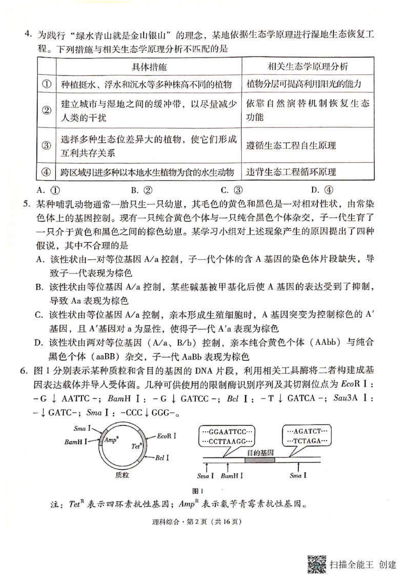 保山市普通高中2023&mdash;&mdash;2024学年上学期期末质量监测高三理科综合_2024届云南省保山市高三上学期1月期末_云南省保山市2024届高三上学期1月期末理综