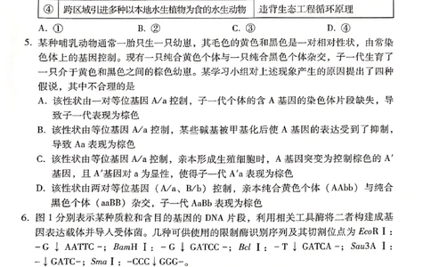 保山市普通高中2023&mdash;&mdash;2024学年上学期期末质量监测高三理科综合_2024届云南省保山市高三上学期1月期末_云南省保山市2024届高三上学期1月期末理综