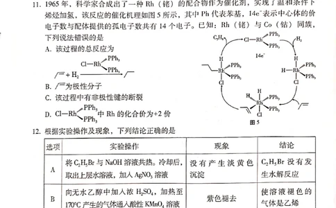 保山市普通高中2023&mdash;&mdash;2024学年上学期期末质量监测高三理科综合_2024届云南省保山市高三上学期1月期末_云南省保山市2024届高三上学期1月期末理综