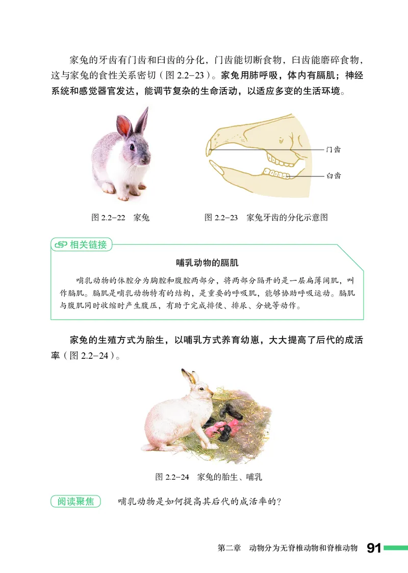 济南版7年级生物上册高清教材_4-教培资料-26年最新资料-同步更新_初中高中教资_03科三专项（进去保存报考的学科即可）_02科三专项（笔记真题思维导图教学设计版本二）
