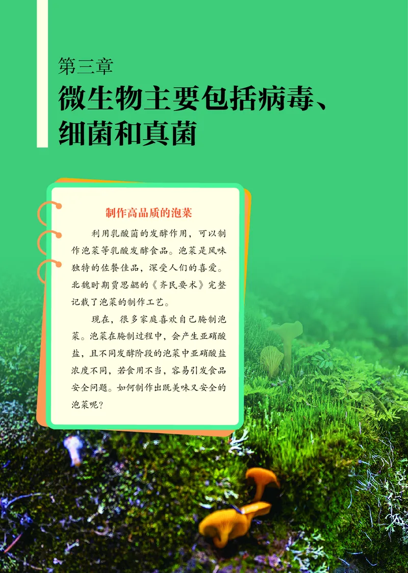 济南版7年级生物上册高清教材_4-教培资料-26年最新资料-同步更新_初中高中教资_03科三专项（进去保存报考的学科即可）_02科三专项（笔记真题思维导图教学设计版本二）