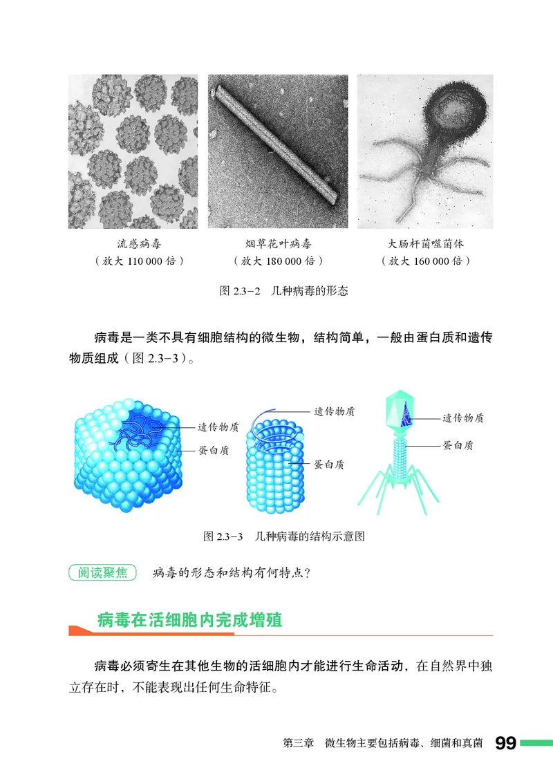 济南版7年级生物上册高清教材_4-教培资料-26年最新资料-同步更新_初中高中教资_03科三专项（进去保存报考的学科即可）_02科三专项（笔记真题思维导图教学设计版本二）