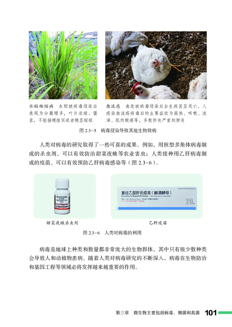 济南版7年级生物上册高清教材_4-教培资料-26年最新资料-同步更新_初中高中教资_03科三专项（进去保存报考的学科即可）_02科三专项（笔记真题思维导图教学设计版本二）