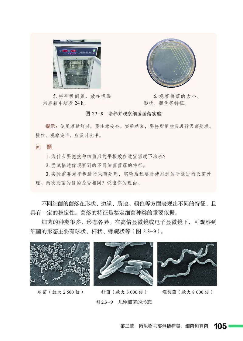 济南版7年级生物上册高清教材_4-教培资料-26年最新资料-同步更新_初中高中教资_03科三专项（进去保存报考的学科即可）_02科三专项（笔记真题思维导图教学设计版本二）