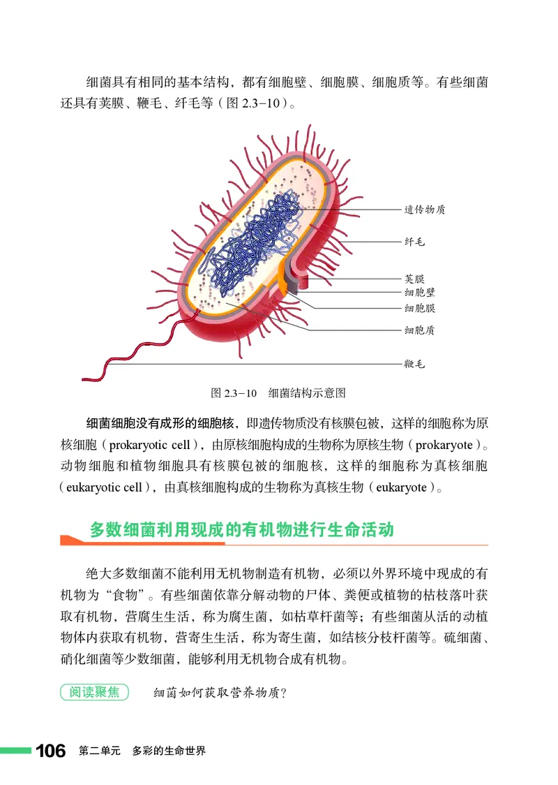 济南版7年级生物上册高清教材_4-教培资料-26年最新资料-同步更新_初中高中教资_03科三专项（进去保存报考的学科即可）_02科三专项（笔记真题思维导图教学设计版本二）