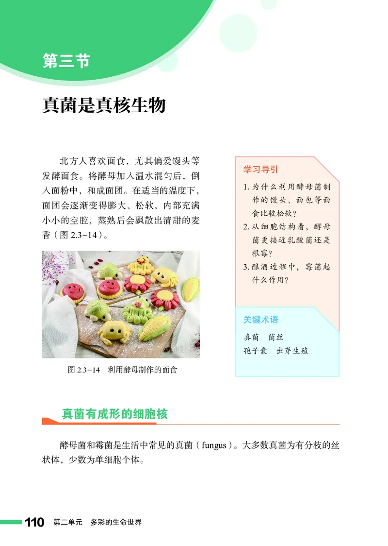 济南版7年级生物上册高清教材_4-教培资料-26年最新资料-同步更新_初中高中教资_03科三专项（进去保存报考的学科即可）_02科三专项（笔记真题思维导图教学设计版本二）