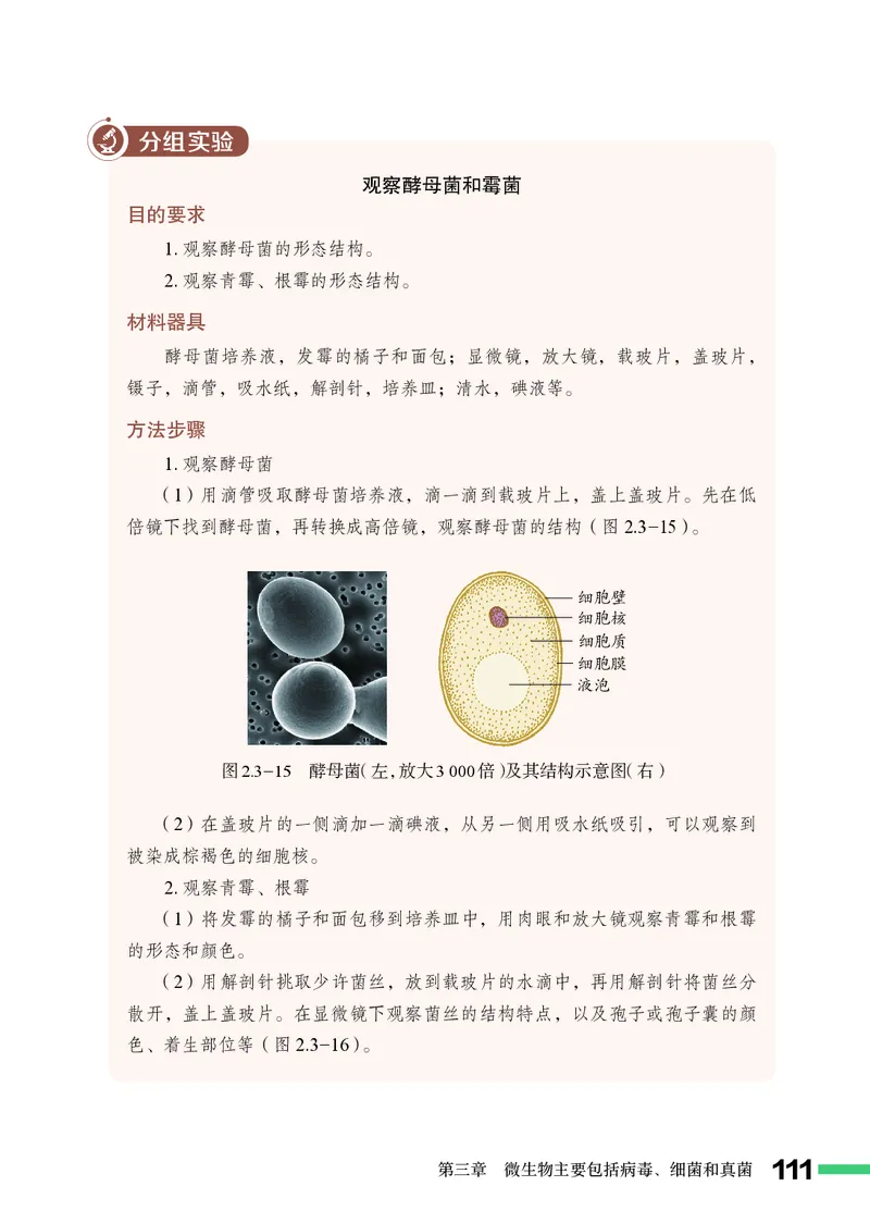 济南版7年级生物上册高清教材_4-教培资料-26年最新资料-同步更新_初中高中教资_03科三专项（进去保存报考的学科即可）_02科三专项（笔记真题思维导图教学设计版本二）