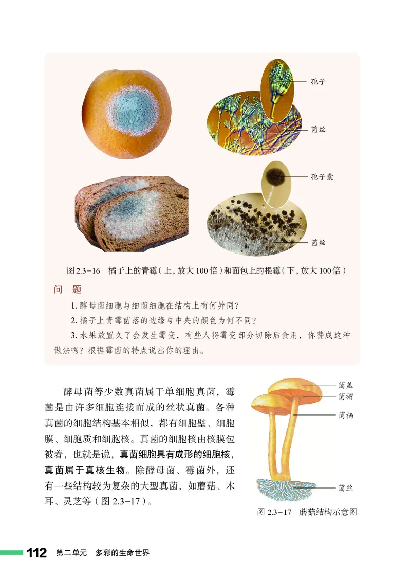 济南版7年级生物上册高清教材_4-教培资料-26年最新资料-同步更新_初中高中教资_03科三专项（进去保存报考的学科即可）_02科三专项（笔记真题思维导图教学设计版本二）