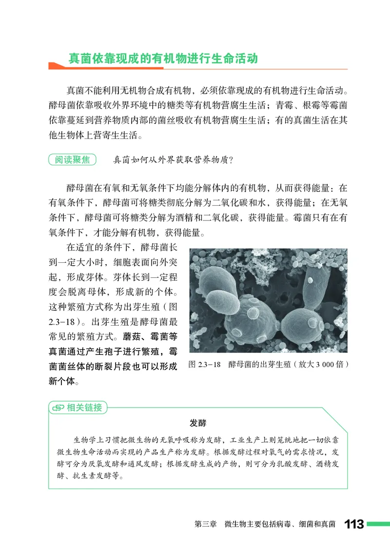 济南版7年级生物上册高清教材_4-教培资料-26年最新资料-同步更新_初中高中教资_03科三专项（进去保存报考的学科即可）_02科三专项（笔记真题思维导图教学设计版本二）