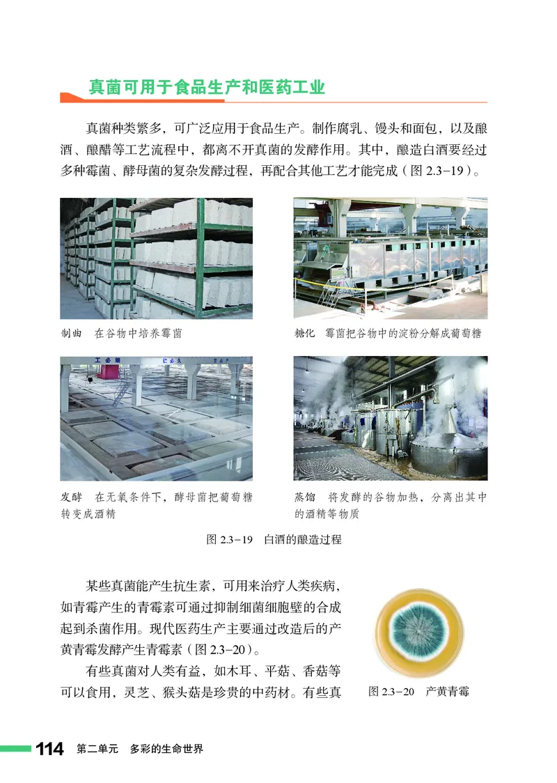 济南版7年级生物上册高清教材_4-教培资料-26年最新资料-同步更新_初中高中教资_03科三专项（进去保存报考的学科即可）_02科三专项（笔记真题思维导图教学设计版本二）