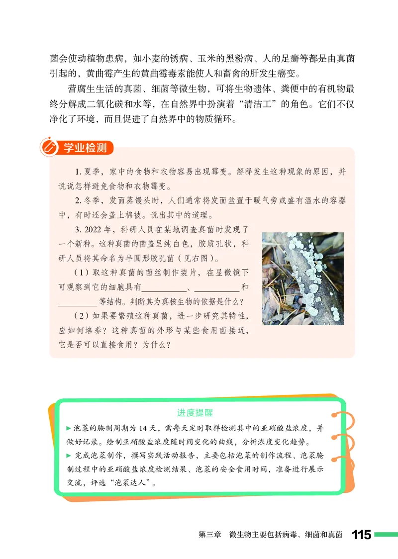 济南版7年级生物上册高清教材_4-教培资料-26年最新资料-同步更新_初中高中教资_03科三专项（进去保存报考的学科即可）_02科三专项（笔记真题思维导图教学设计版本二）