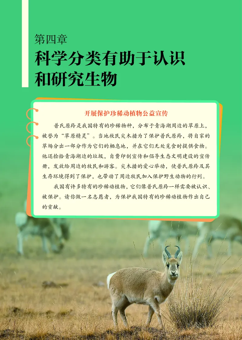 济南版7年级生物上册高清教材_4-教培资料-26年最新资料-同步更新_初中高中教资_03科三专项（进去保存报考的学科即可）_02科三专项（笔记真题思维导图教学设计版本二）