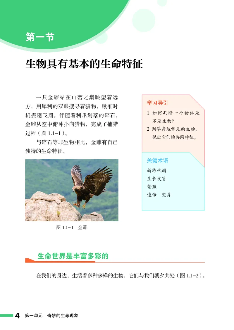 济南版7年级生物上册高清教材_4-教培资料-26年最新资料-同步更新_初中高中教资_03科三专项（进去保存报考的学科即可）_02科三专项（笔记真题思维导图教学设计版本二）
