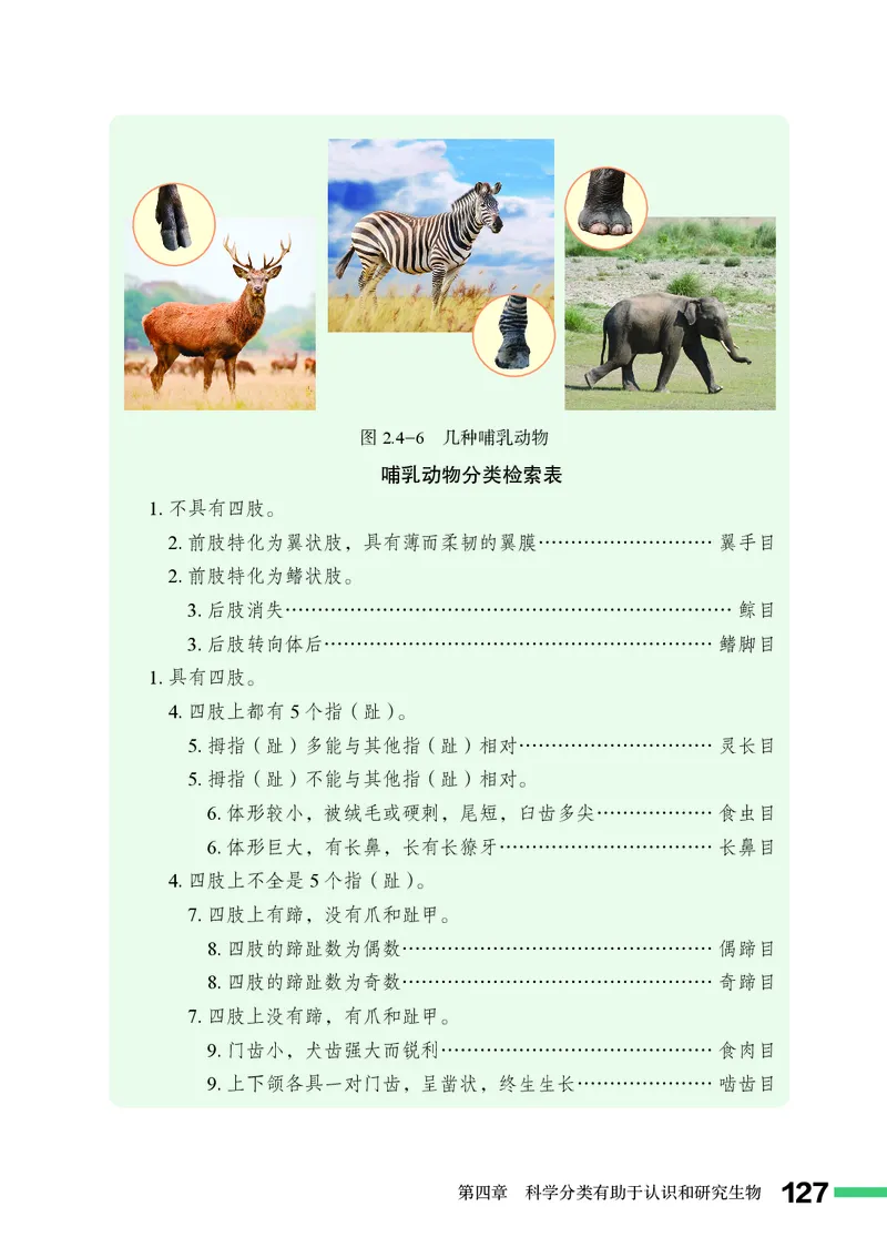 济南版7年级生物上册高清教材_4-教培资料-26年最新资料-同步更新_初中高中教资_03科三专项（进去保存报考的学科即可）_02科三专项（笔记真题思维导图教学设计版本二）