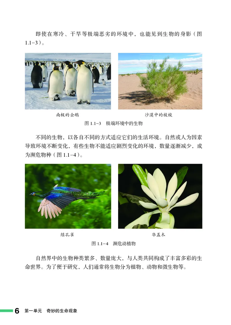 济南版7年级生物上册高清教材_4-教培资料-26年最新资料-同步更新_初中高中教资_03科三专项（进去保存报考的学科即可）_02科三专项（笔记真题思维导图教学设计版本二）