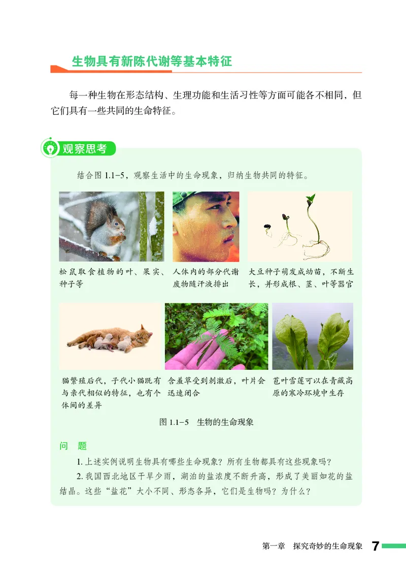 济南版7年级生物上册高清教材_4-教培资料-26年最新资料-同步更新_初中高中教资_03科三专项（进去保存报考的学科即可）_02科三专项（笔记真题思维导图教学设计版本二）