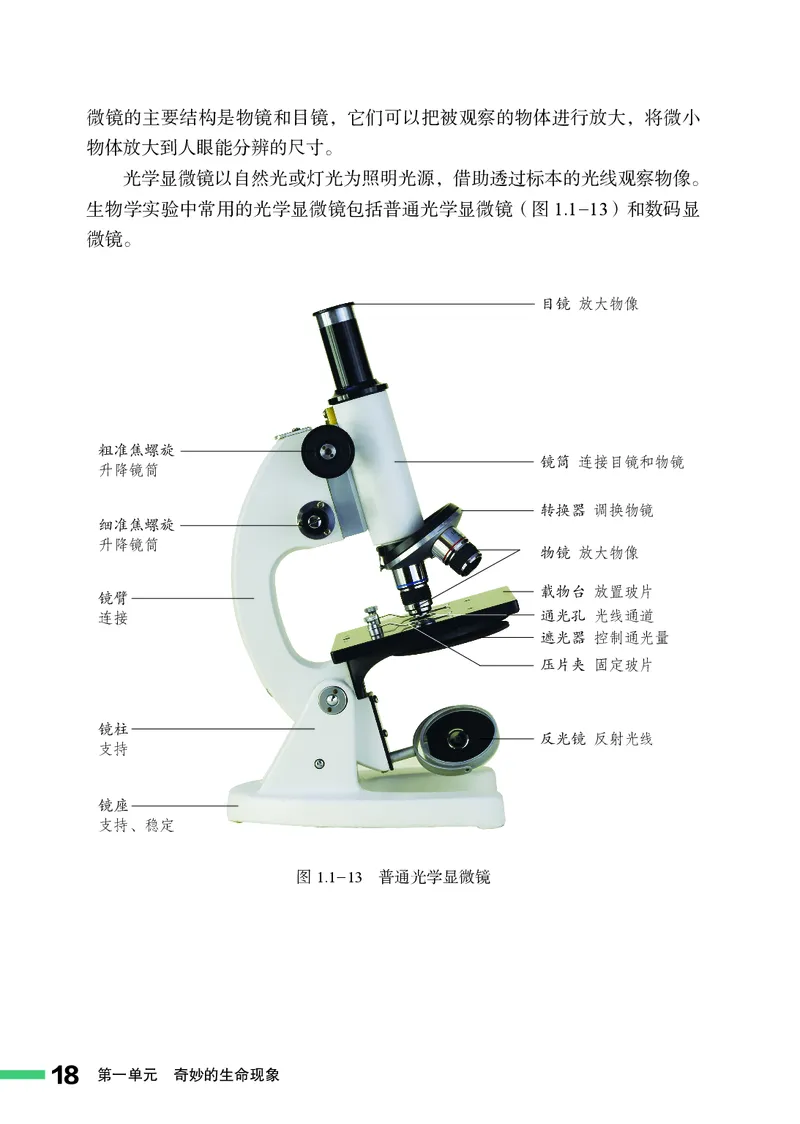 济南版7年级生物上册高清教材_4-教培资料-26年最新资料-同步更新_初中高中教资_03科三专项（进去保存报考的学科即可）_02科三专项（笔记真题思维导图教学设计版本二）