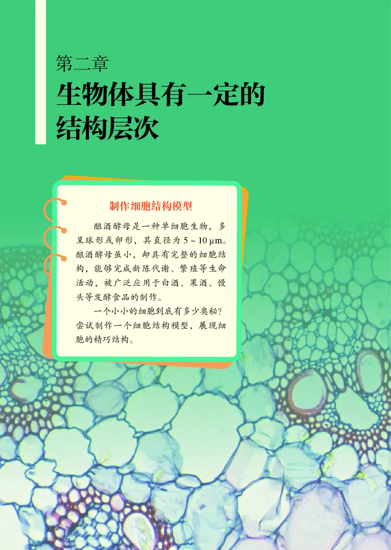 济南版7年级生物上册高清教材_4-教培资料-26年最新资料-同步更新_初中高中教资_03科三专项（进去保存报考的学科即可）_02科三专项（笔记真题思维导图教学设计版本二）