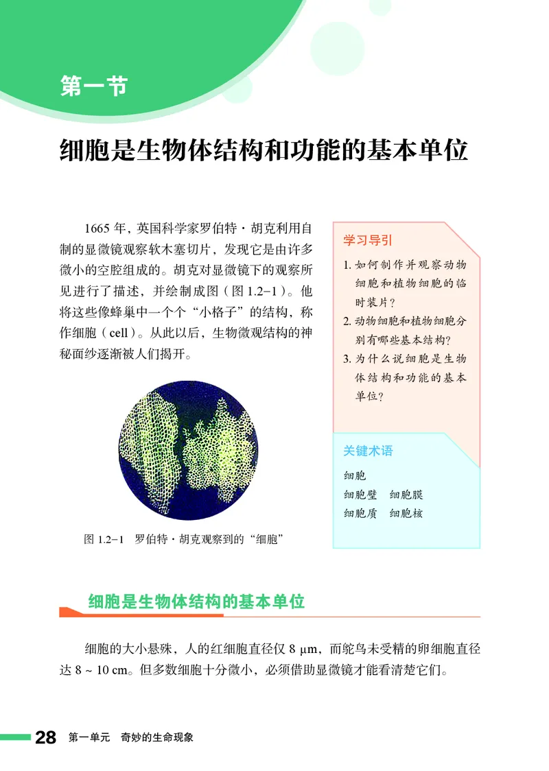 济南版7年级生物上册高清教材_4-教培资料-26年最新资料-同步更新_初中高中教资_03科三专项（进去保存报考的学科即可）_02科三专项（笔记真题思维导图教学设计版本二）